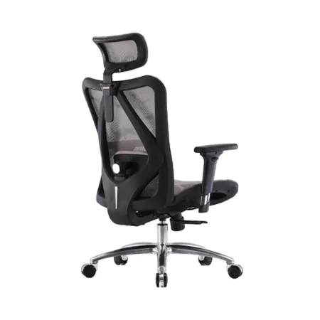 Ghe Cong Thai Hoc Sihoo M57 03 1