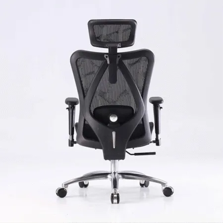 Ghe Cong Thai Hoc Sihoo M57 3 1