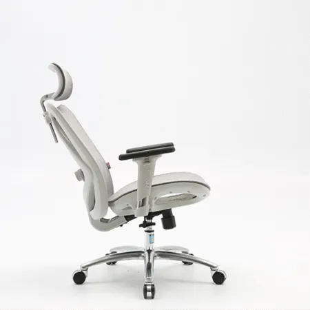 Ghe Cong Thai Hoc Sihoo M57 4 1