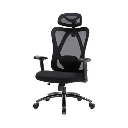 Ghe Cong Thai Hoc Warrior Hero Wec 501 Plus 02