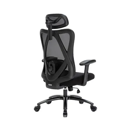 Ghe Cong Thai Hoc Warrior Hero Wec 501 Plus 06