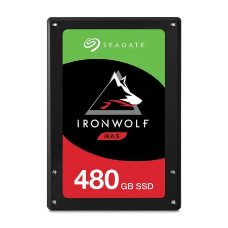 Ironwolf 110 480gb 01 1