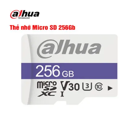 the-nho-micro-sd-256gb-dahua-dhi-tf-c100-256gb-1.jpg