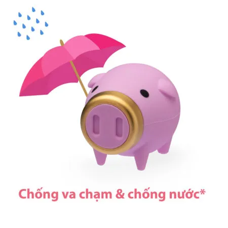 Zodiac Pig 2019 05 1